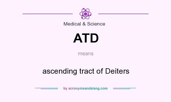 What does ATD mean? It stands for ascending tract of Deiters