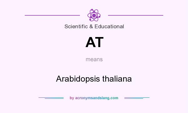 What does AT mean? It stands for Arabidopsis thaliana