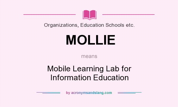 What does MOLLIE mean? It stands for Mobile Learning Lab for Information Education