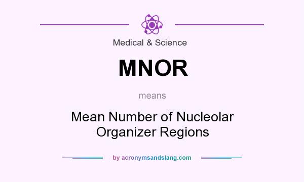What does MNOR mean? It stands for Mean Number of Nucleolar Organizer Regions