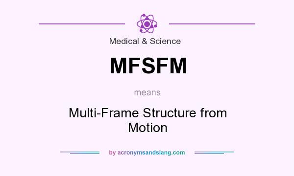 What does MFSFM mean? It stands for Multi-Frame Structure from Motion