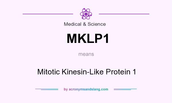 What does MKLP1 mean? It stands for Mitotic Kinesin-Like Protein 1