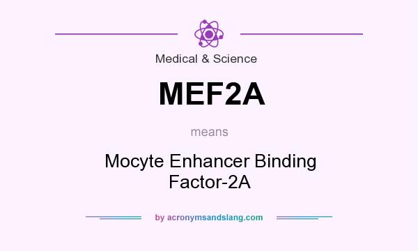 What does MEF2A mean? It stands for Mocyte Enhancer Binding Factor-2A