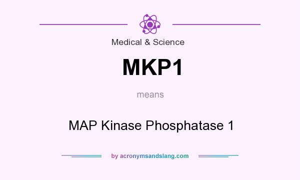 What does MKP1 mean? It stands for MAP Kinase Phosphatase 1