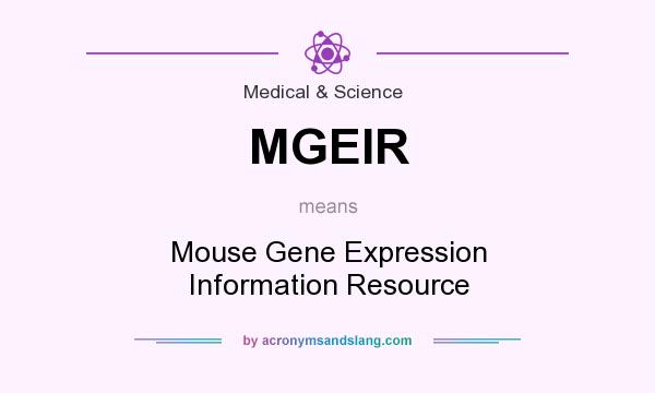 What does MGEIR mean? It stands for Mouse Gene Expression Information Resource