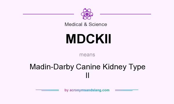 What does MDCKII mean? It stands for Madin-Darby Canine Kidney Type II