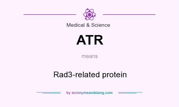 What does ATR mean? It stands for Rad3-related protein