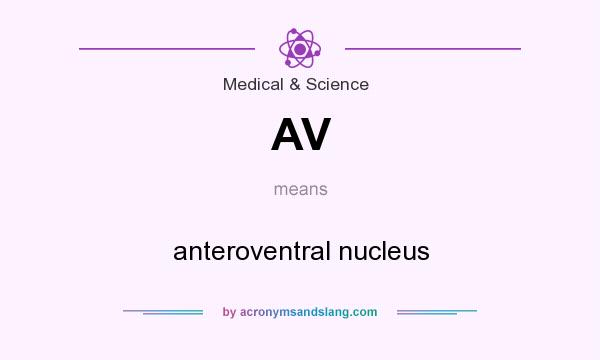 What does AV mean? It stands for anteroventral nucleus