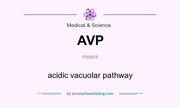 What does AVP mean? It stands for acidic vacuolar pathway