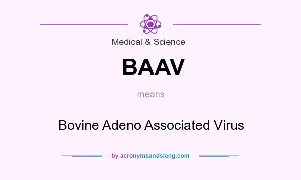 What does BAAV mean? It stands for Bovine Adeno Associated Virus