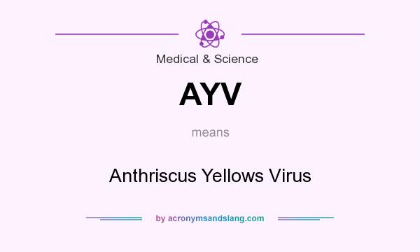 What does AYV mean? It stands for Anthriscus Yellows Virus