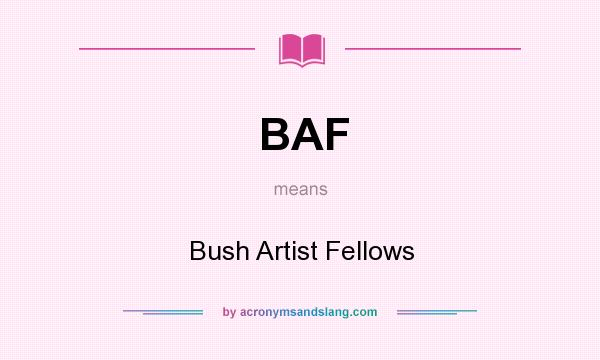 What does BAF mean? It stands for Bush Artist Fellows