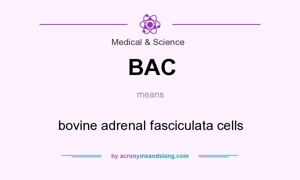 What does BAC mean? It stands for bovine adrenal fasciculata cells