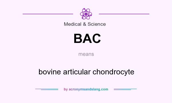 What does BAC mean? It stands for bovine articular chondrocyte
