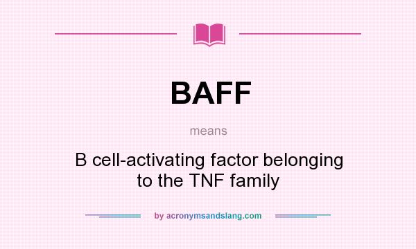 What does BAFF mean? It stands for B cell-activating factor belonging to the TNF family