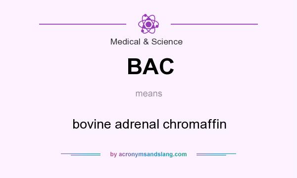 What does BAC mean? It stands for bovine adrenal chromaffin