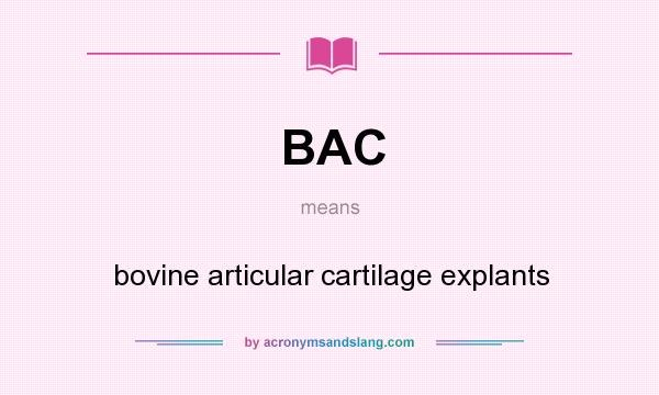 What does BAC mean? It stands for bovine articular cartilage explants