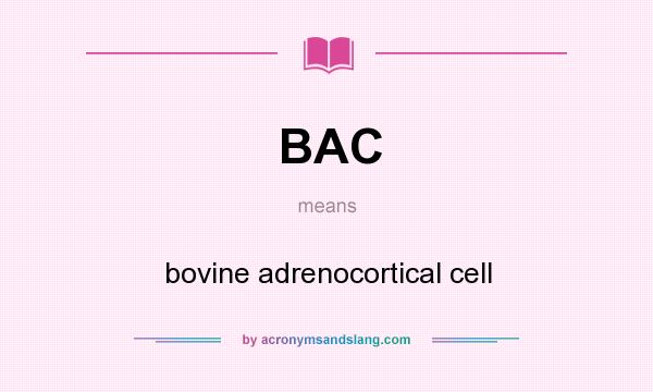 What does BAC mean? It stands for bovine adrenocortical cell