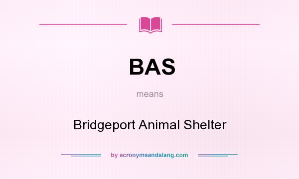 What does BAS mean? It stands for Bridgeport Animal Shelter