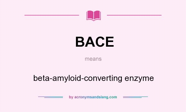 What does BACE mean? It stands for beta-amyloid-converting enzyme