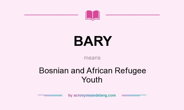 What does BARY mean? It stands for Bosnian and African Refugee Youth