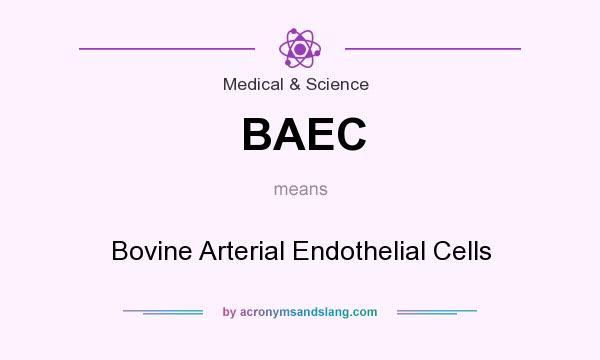 What does BAEC mean? It stands for Bovine Arterial Endothelial Cells