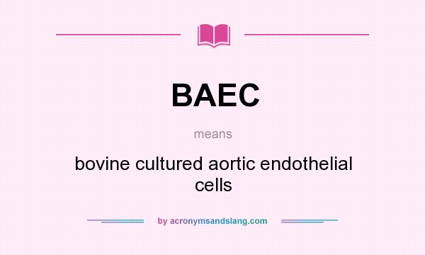 What does BAEC mean? It stands for bovine cultured aortic endothelial cells