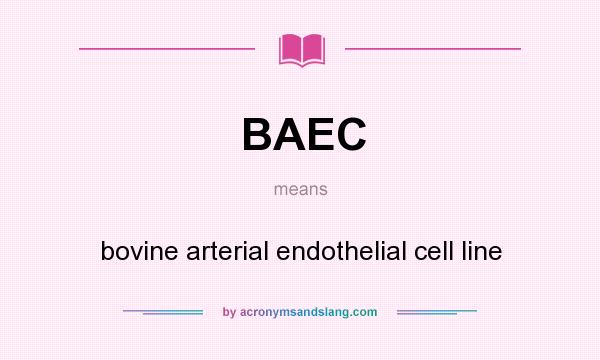 What does BAEC mean? It stands for bovine arterial endothelial cell line
