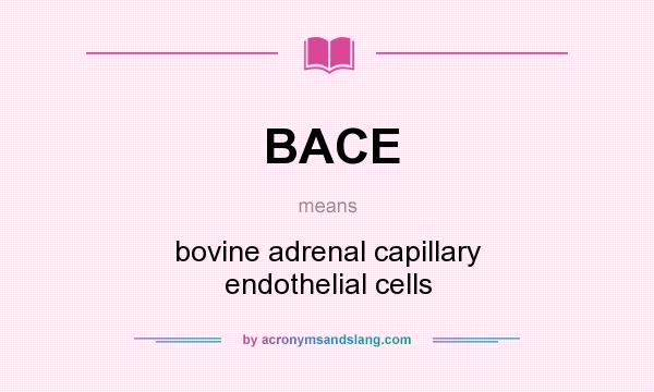 What does BACE mean? It stands for bovine adrenal capillary endothelial cells
