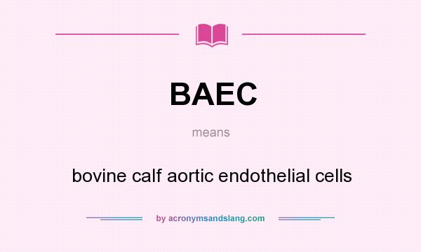 What does BAEC mean? It stands for bovine calf aortic endothelial cells