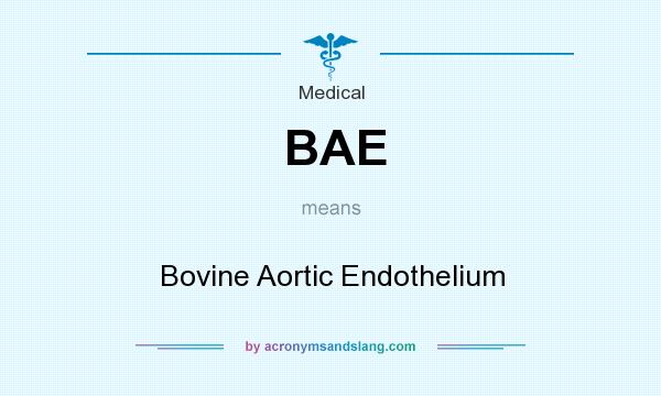 What does BAE mean? It stands for Bovine Aortic Endothelium