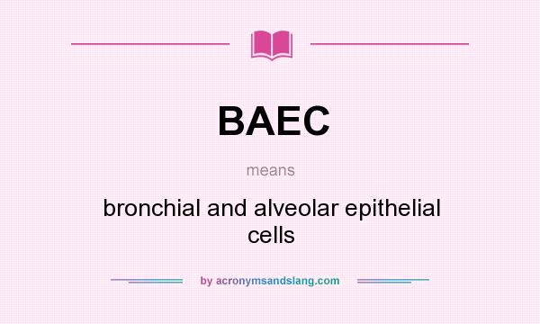 What does BAEC mean? It stands for bronchial and alveolar epithelial cells