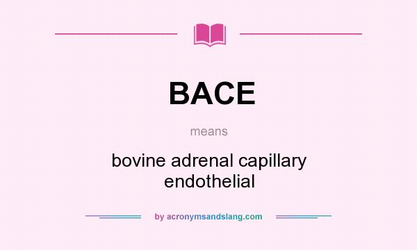 What does BACE mean? It stands for bovine adrenal capillary endothelial
