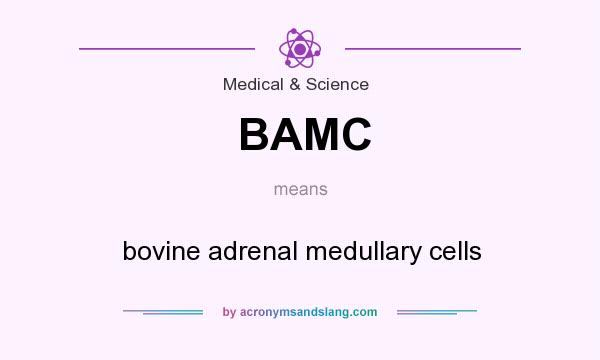 What does BAMC mean? It stands for bovine adrenal medullary cells