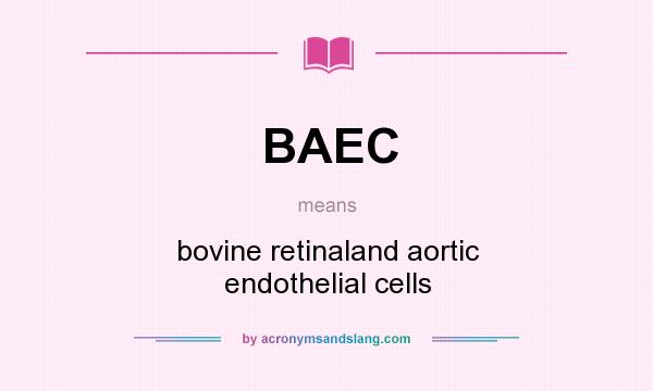 What does BAEC mean? It stands for bovine retinaland aortic endothelial cells