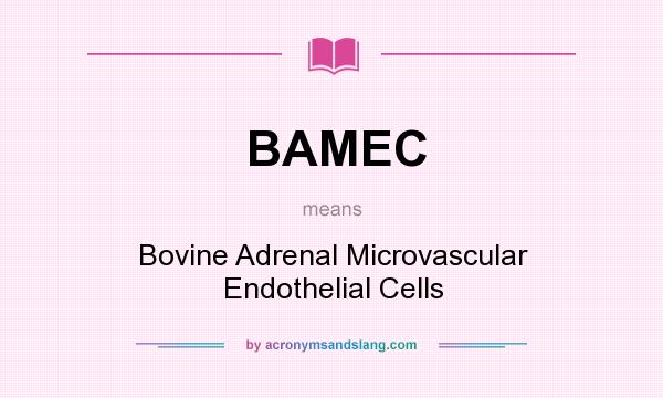 What does BAMEC mean? It stands for Bovine Adrenal Microvascular Endothelial Cells