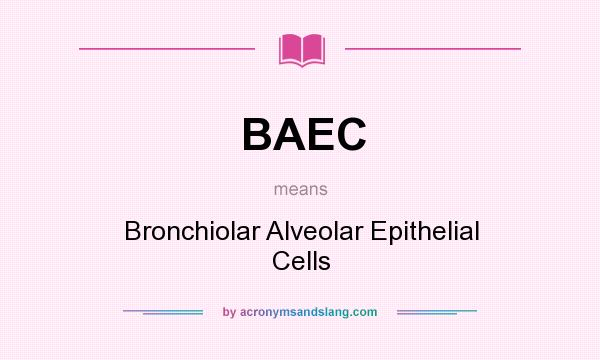 What does BAEC mean? It stands for Bronchiolar Alveolar Epithelial Cells