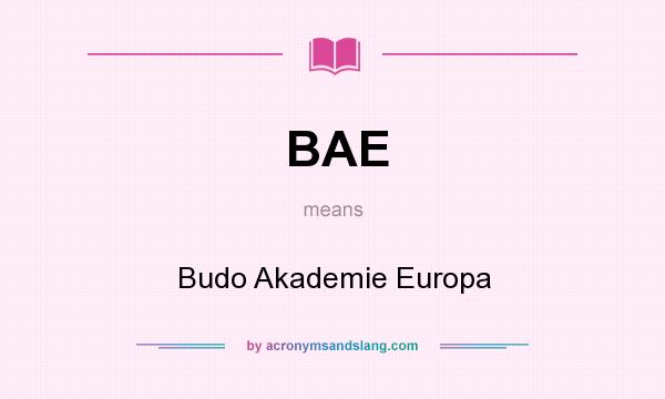 What does BAE mean? It stands for Budo Akademie Europa