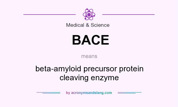 What does BACE mean? It stands for beta-amyloid precursor protein cleaving enzyme