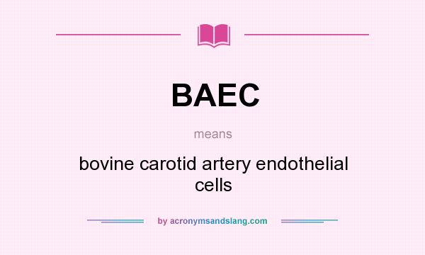 What does BAEC mean? It stands for bovine carotid artery endothelial cells