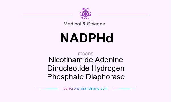 What does NADPHd mean? It stands for Nicotinamide Adenine Dinucleotide Hydrogen Phosphate Diaphorase