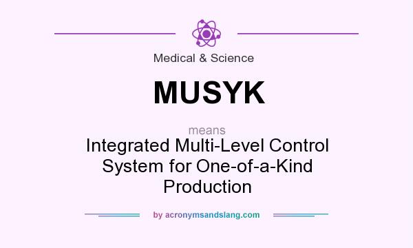 What does MUSYK mean? It stands for Integrated Multi-Level Control System for One-of-a-Kind Production
