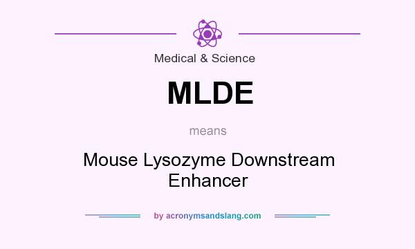 What does MLDE mean? It stands for Mouse Lysozyme Downstream Enhancer