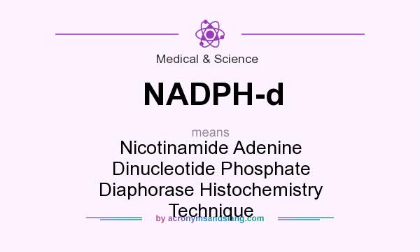 What does NADPH-d mean? It stands for Nicotinamide Adenine Dinucleotide Phosphate Diaphorase Histochemistry Technique