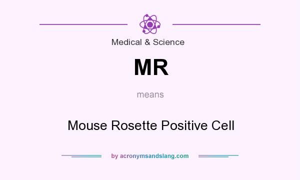 What does MR mean? It stands for Mouse Rosette Positive Cell