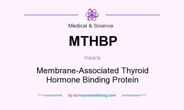 What does MTHBP mean? It stands for Membrane-Associated Thyroid Hormone Binding Protein