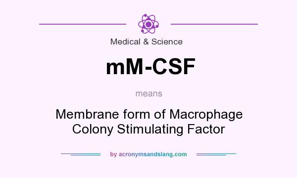 What does mM-CSF mean? It stands for Membrane form of Macrophage Colony Stimulating Factor