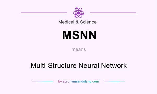 What does MSNN mean? It stands for Multi-Structure Neural Network