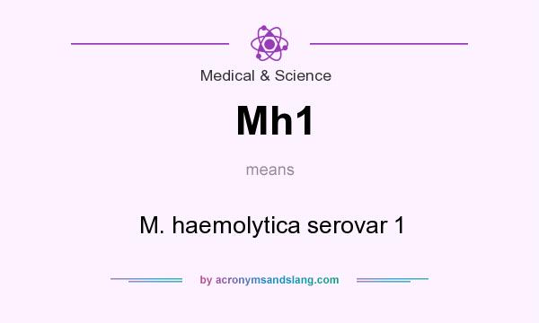 What does Mh1 mean? It stands for M. haemolytica serovar 1