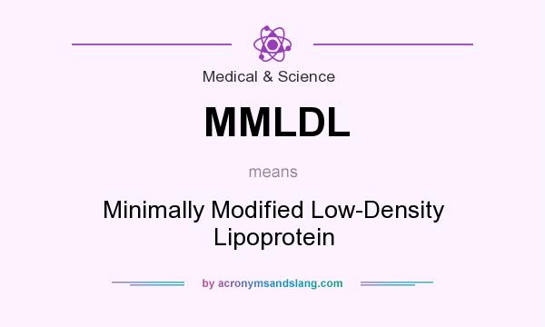 What does MMLDL mean? It stands for Minimally Modified Low-Density Lipoprotein